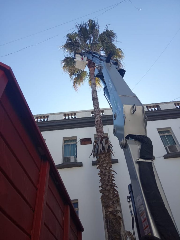 WhatsApp Image 2019-08-09 at 3.31.22 PM (1)