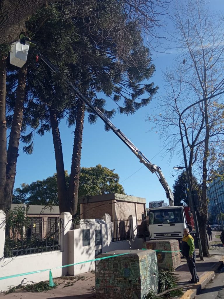 WhatsApp Image 2019-08-09 at 3.31.23 PM (1)